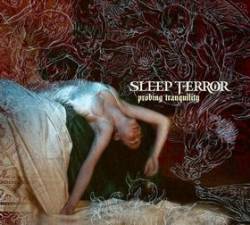 Sleep Terror : Probing Tranquility